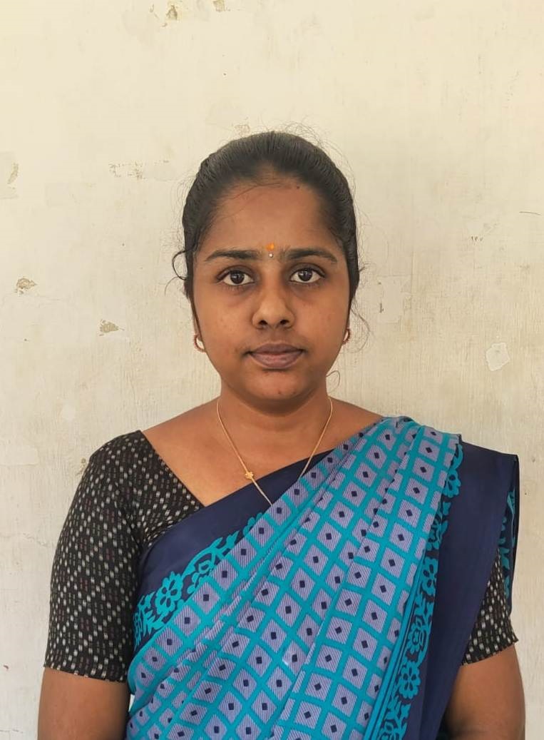 Mr. S. VELLAIPANDI